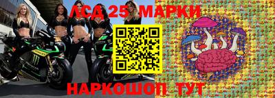 прущие крисы Будённовск