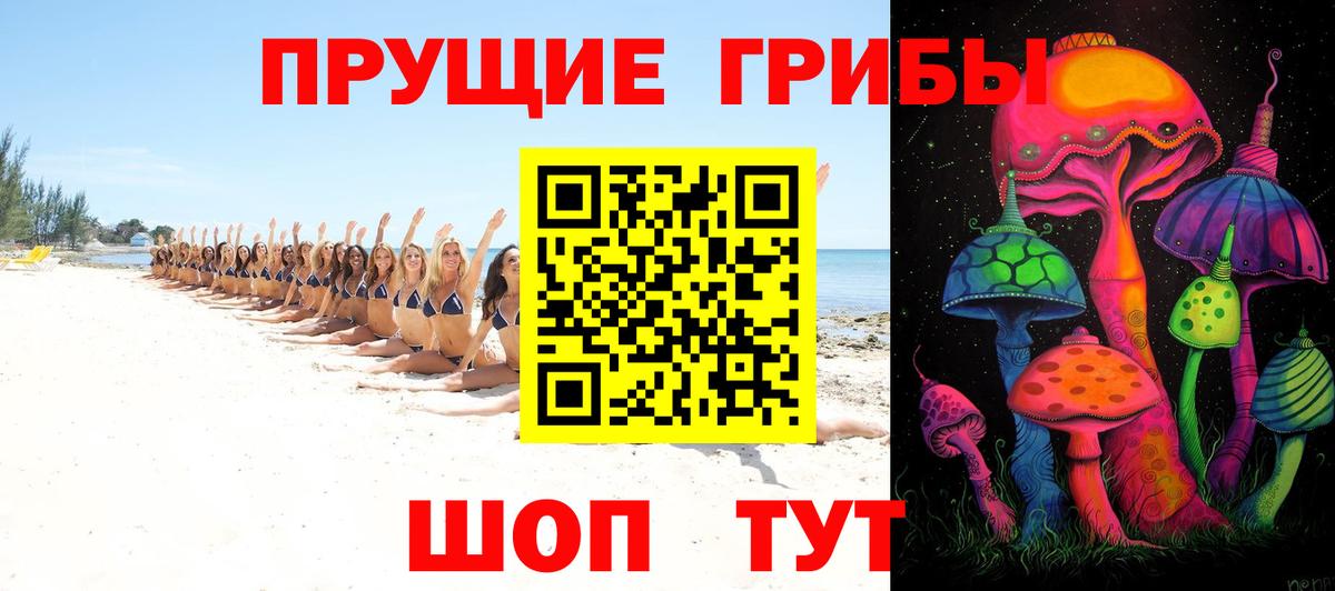 Галлюциногенные грибы прущие грибы  Псилоцибиновые грибы Psilocybe  Глазов  Вход с VPN 